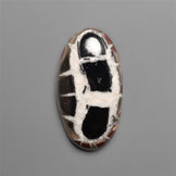 Black Septarian Fossil Cabochon