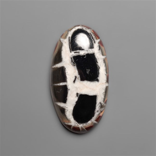 Black Septarian Fossil Cabochon