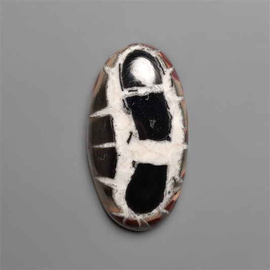 Black Septarian Fossil Cabochon