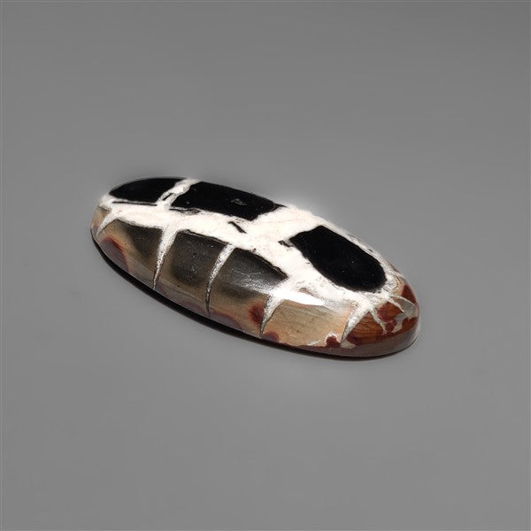 Black Septarian Fossil Cabochon