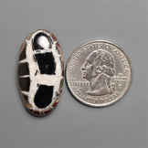 Black Septarian Fossil Cabochon