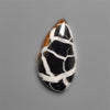 Black Septarian Fossil Cabochon