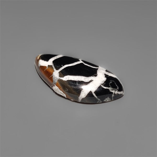 Black Septarian Fossil Cabochon
