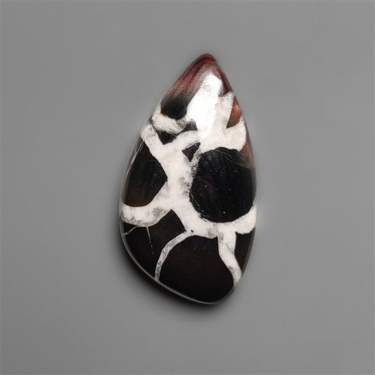 Black Septarian Fossil Cabochon