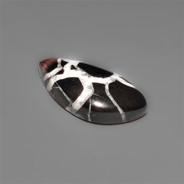 Black Septarian Fossil Cabochon