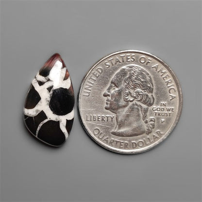 Black Septarian Fossil Cabochon