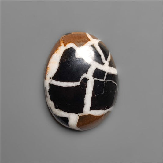 Black Septarian Fossil Cabochon