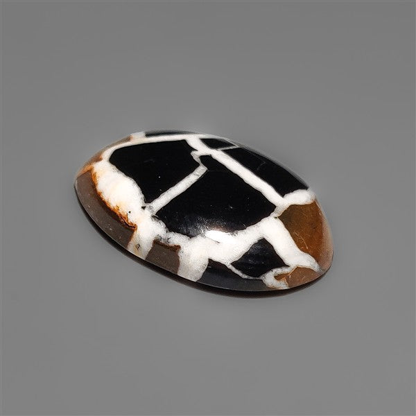 Black Septarian Fossil Cabochon