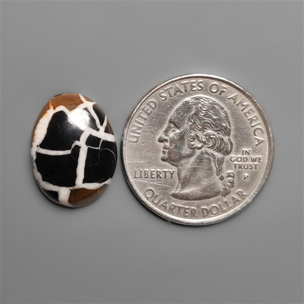 Black Septarian Fossil Cabochon