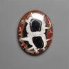 Black Septarian Fossil Cabochon