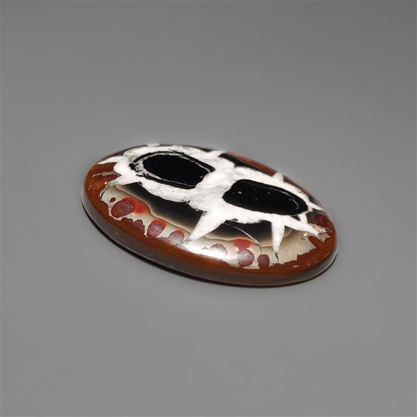 Black Septarian Fossil Cabochon