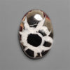 Black Septarian Fossil Cabochon