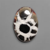 Black Septarian Fossil Cabochon