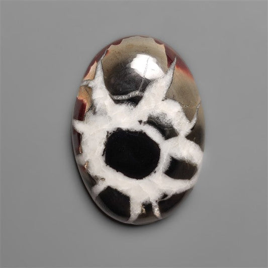 Black Septarian Fossil Cabochon