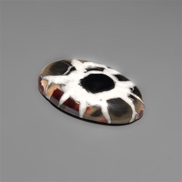 Black Septarian Fossil Cabochon