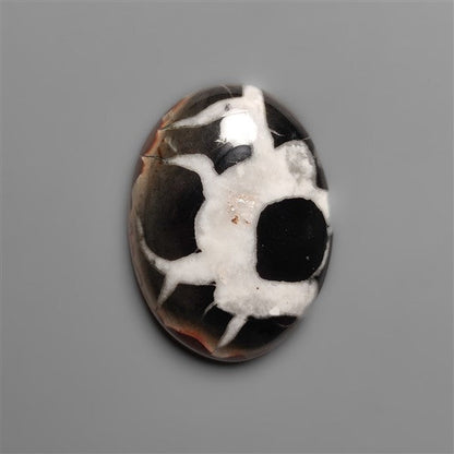 Black Septarian Fossil Cabochon