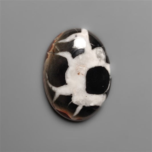 Black Septarian Fossil Cabochon