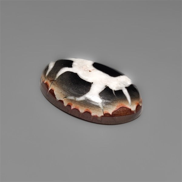 Black Septarian Fossil Cabochon