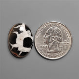 Black Septarian Fossil Cabochon