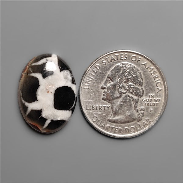 Black Septarian Fossil Cabochon