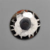 Black Septarian Fossil Cabochon