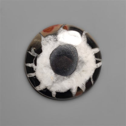 Black Septarian Fossil Cabochon
