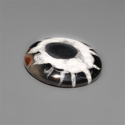 Black Septarian Fossil Cabochon