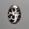 Black Septarian Fossil Cabochon