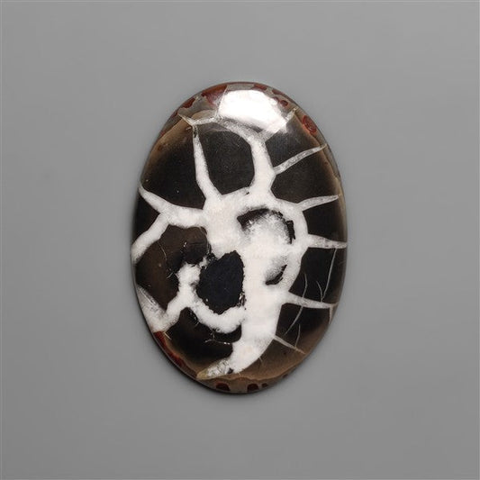 Black Septarian Fossil Cabochon