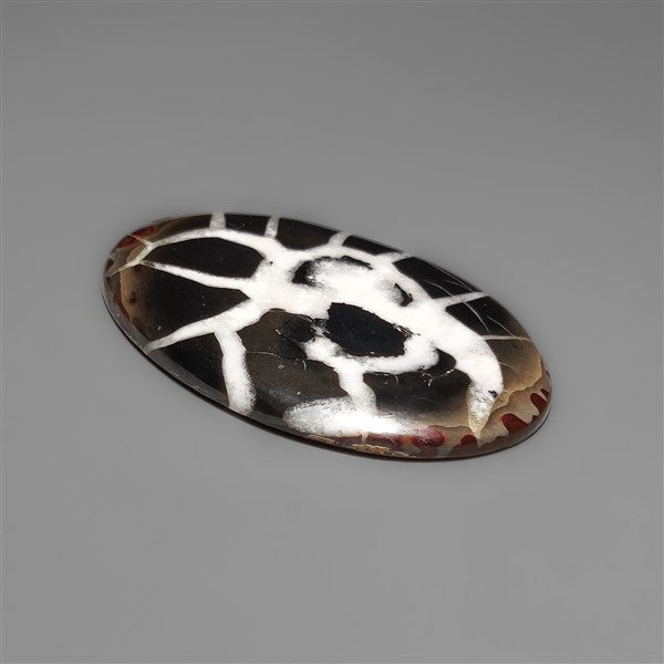 Black Septarian Fossil Cabochon