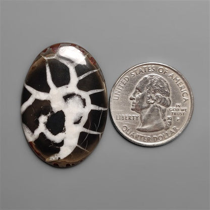 Black Septarian Fossil Cabochon