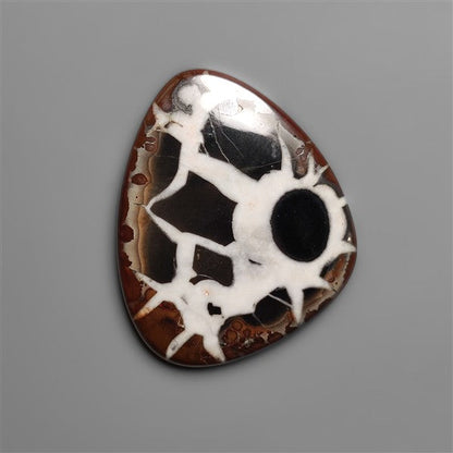 Black Septarian Fossil Cabochon
