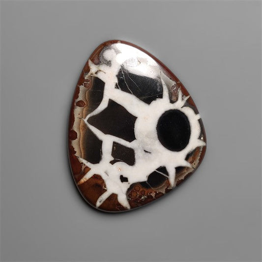 Black Septarian Fossil Cabochon
