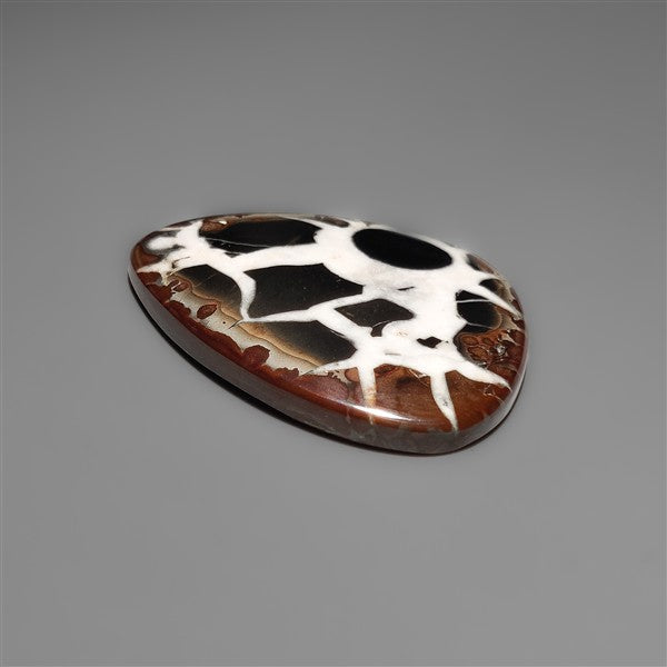 Black Septarian Fossil Cabochon