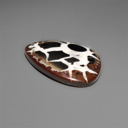 Black Septarian Fossil Cabochon
