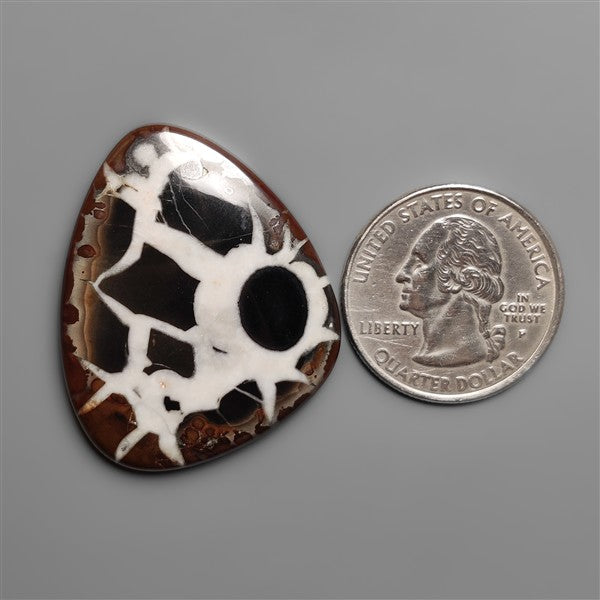 Black Septarian Fossil Cabochon