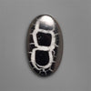 Black Septarian Fossil Cabochon