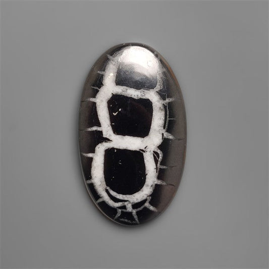 Black Septarian Fossil Cabochon