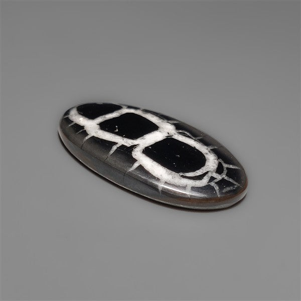 Black Septarian Fossil Cabochon