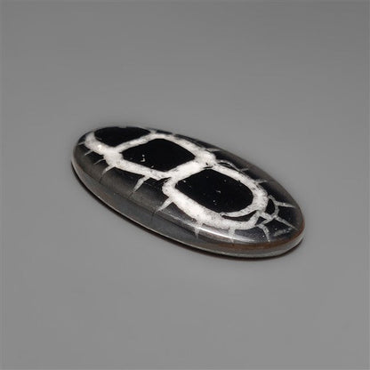 Black Septarian Fossil Cabochon