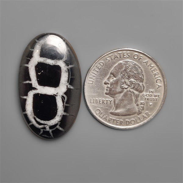 Black Septarian Fossil Cabochon