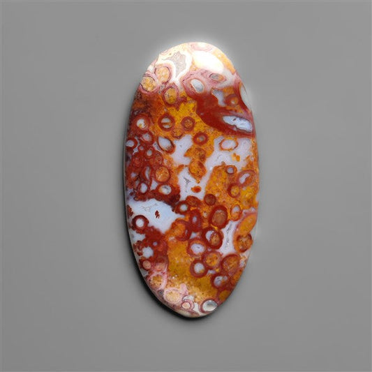 Petrified Red Tube Palm Root Cabochon