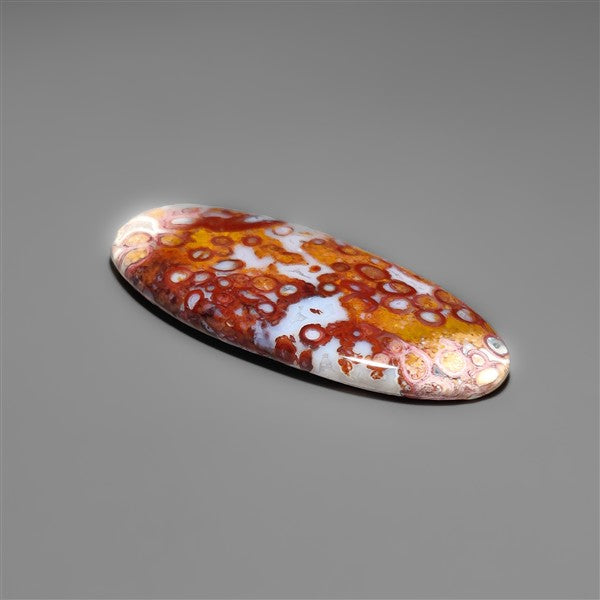 Petrified Red Tube Palm Root Cabochon