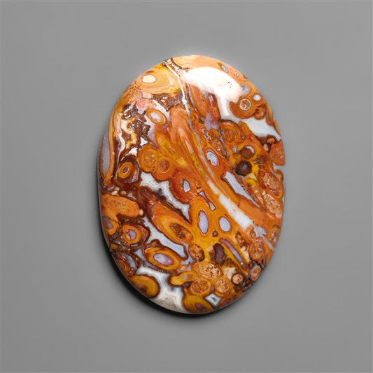 Petrified Red Tube Palm Root Cabochon