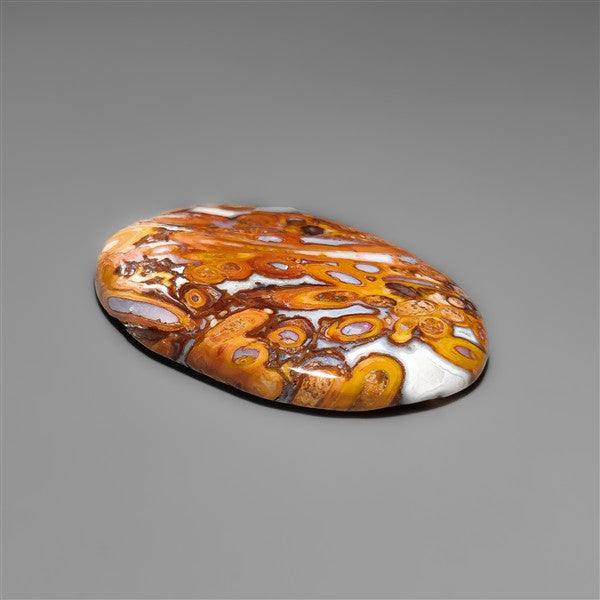 Petrified Red Tube Palm Root Cabochon