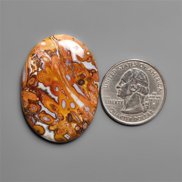 Petrified Red Tube Palm Root Cabochon