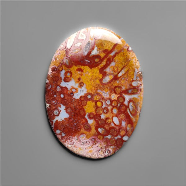 Petrified Red Tube Palm Root Cabochon