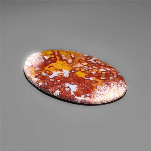 Petrified Red Tube Palm Root Cabochon