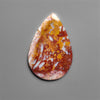 Petrified Red Tube Palm Root Cabochon