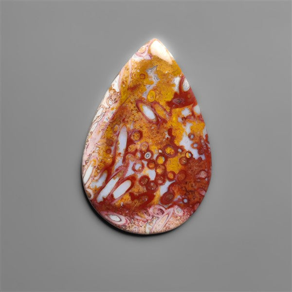 Petrified Red Tube Palm Root Cabochon